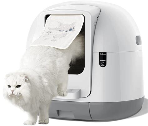 best electric litter boxes|best affordable automatic litter box.